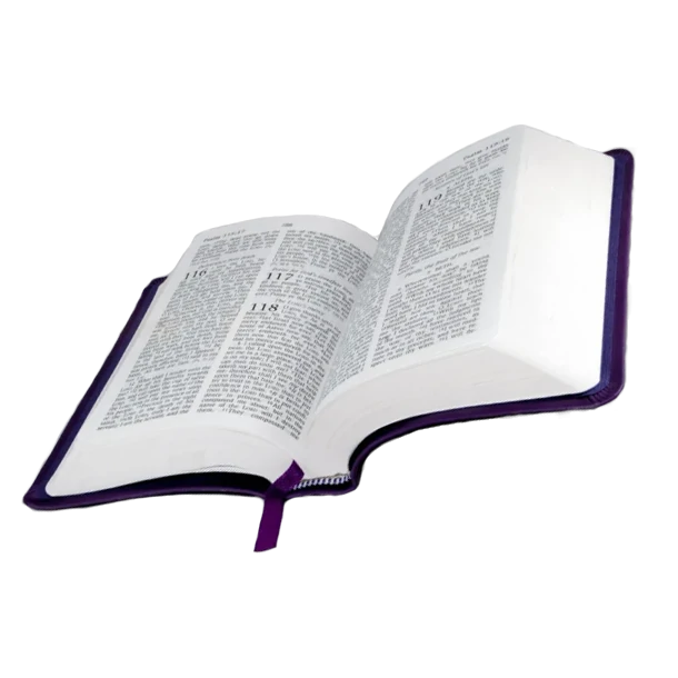 Zone 1 : La Sainte Bible