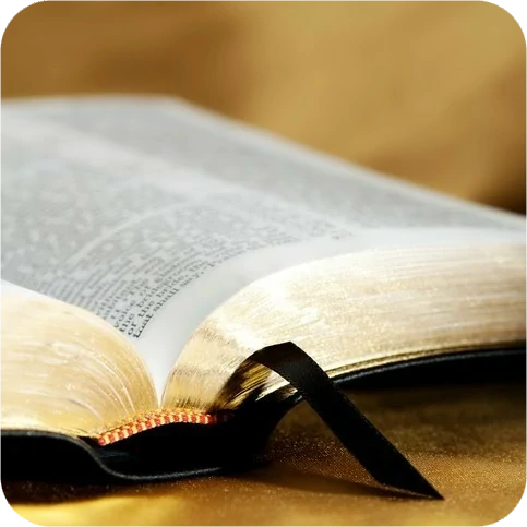 Zone 3 : Citations bibliques