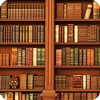Zone 6 : Bibliothèque